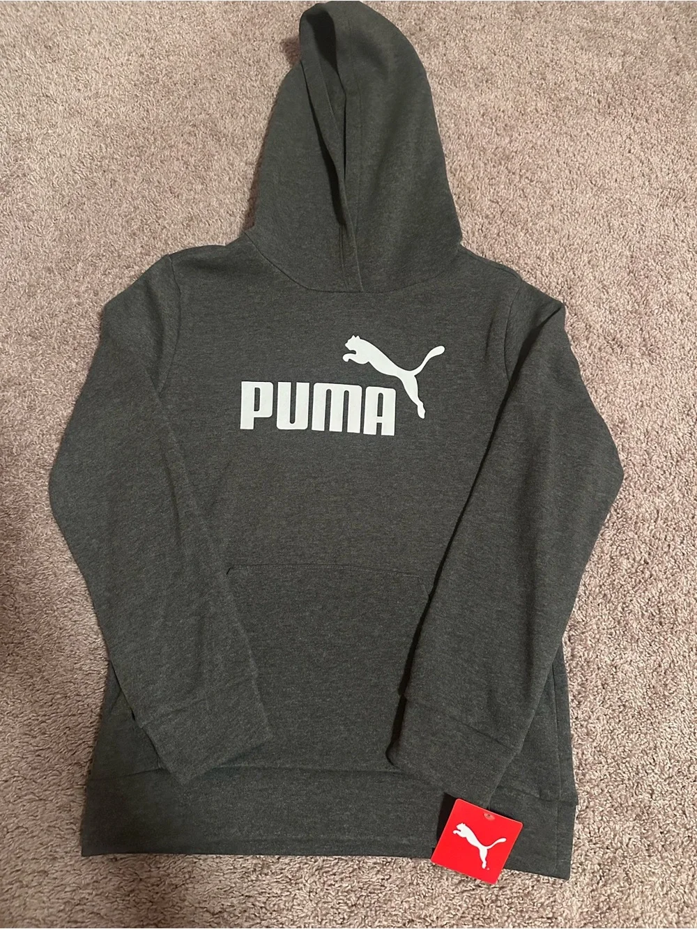 NWT Puma Kids Hoodie Dark Gray with White Logo (Youth Medium)